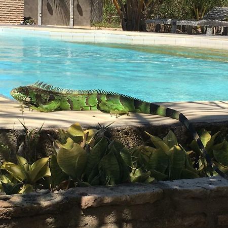 Casa Caicara Villas De Praia Cruz  エクステリア 写真