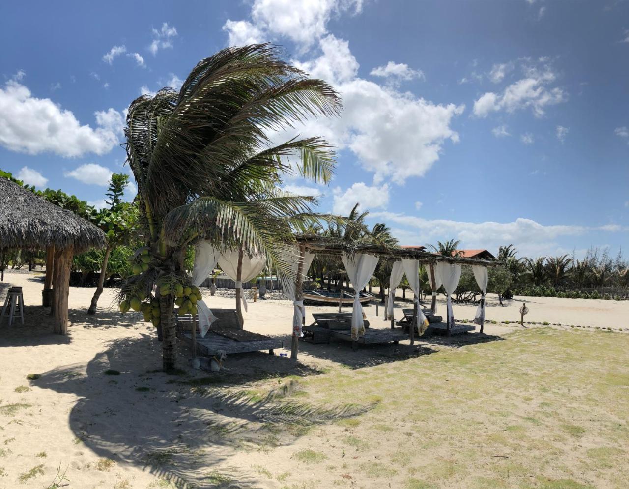 Casa Caicara Villas De Praia Cruz  エクステリア 写真